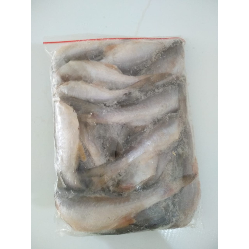

Ikan Senangin / ngo a sun / seafood / bagan