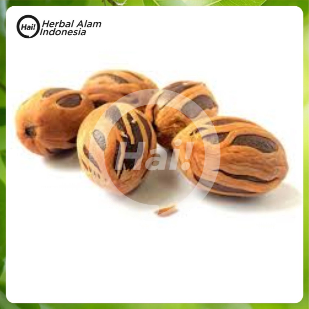 

BUAH PALA KERING 250 GRAM HAI STORE