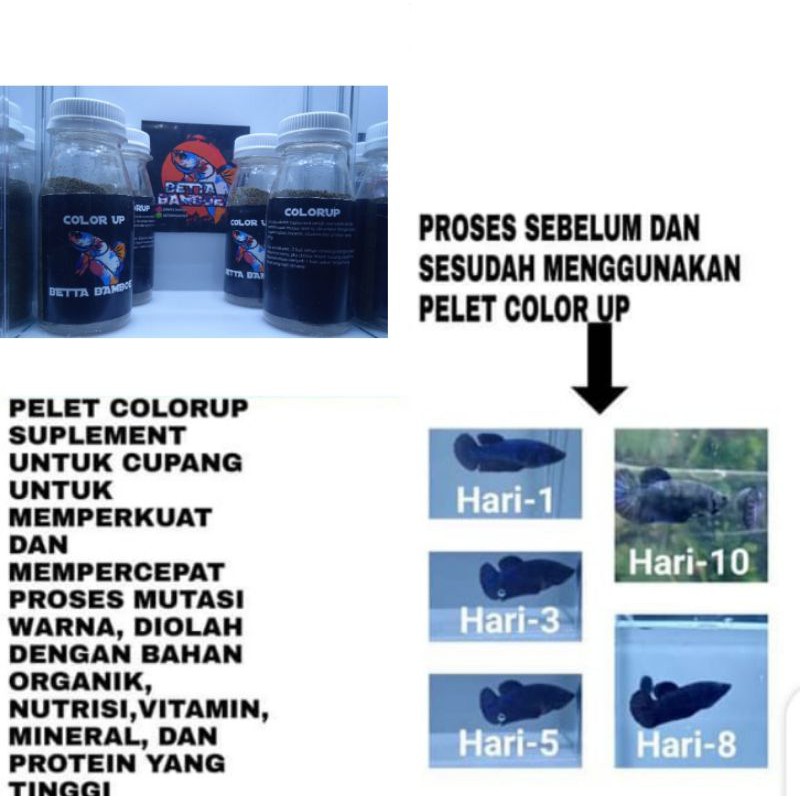 

Betta ColorUp pelet suplement untuk cupang