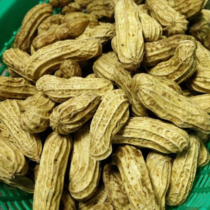 

Kacang Tanah Rebus Perbungkus Sayur Online Makassar