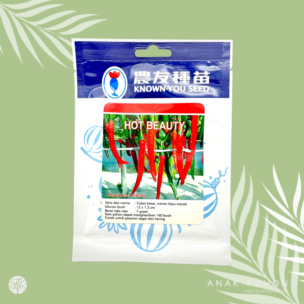 (1 PACK) Benih Cabai Merah Besar Hot Beauty Hibrida F1 Seeds - Known You Seed KYS - 10 GRAM