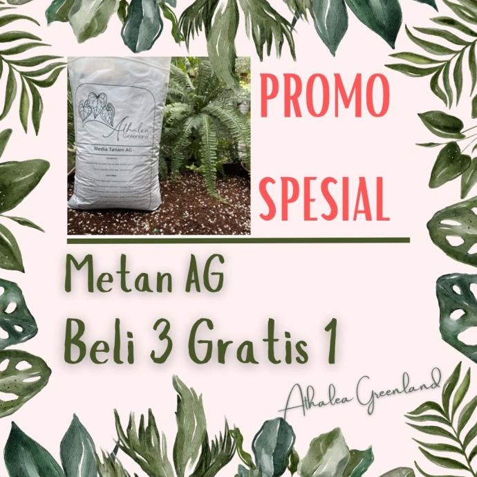 

GRATIS ONGKIR PROMO Metan AG buy 3 free 1