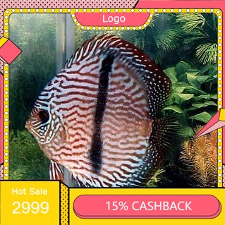 discus heckel 1 inch.