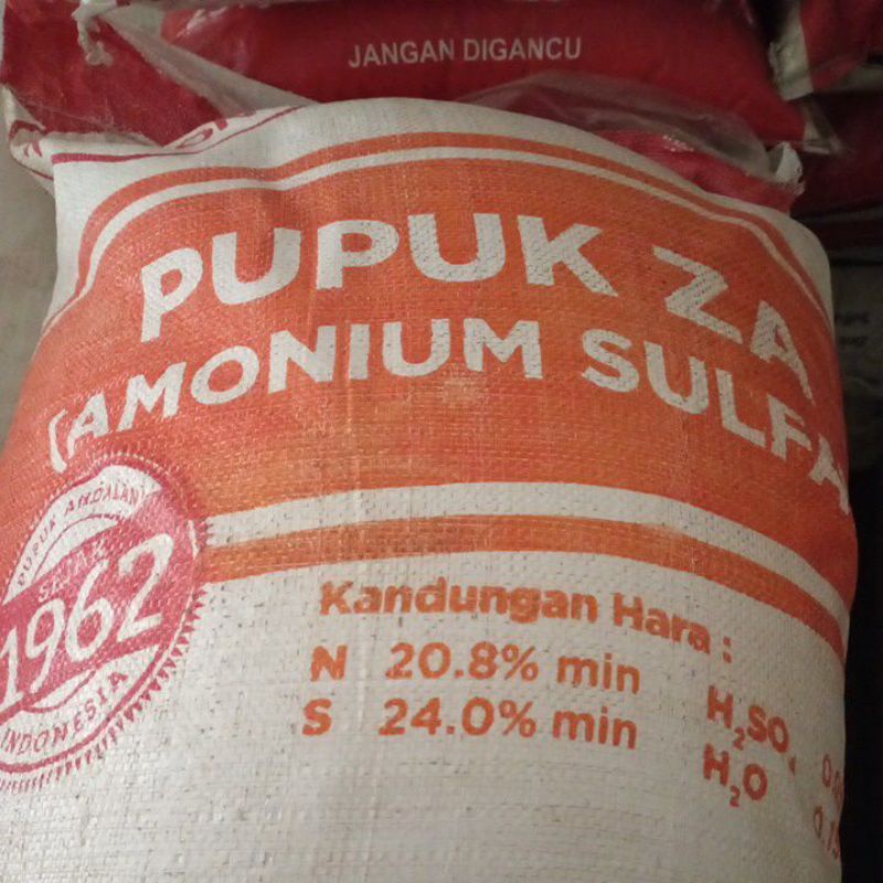 ZA tawon orange 50kg