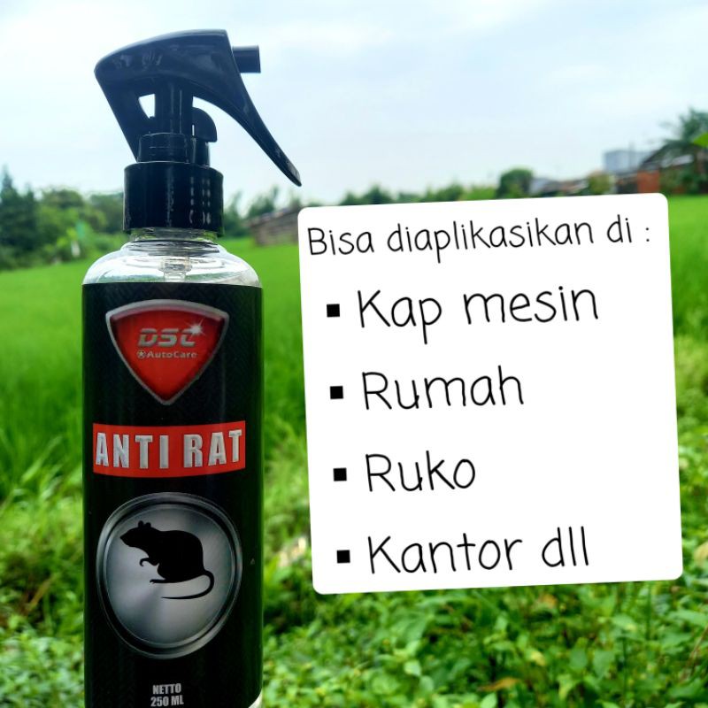 DSC Anti Rat Pengusir Tikus Kecoa Cicak / Pengusir tikus di Kap Mobil, Dapur, Kantor