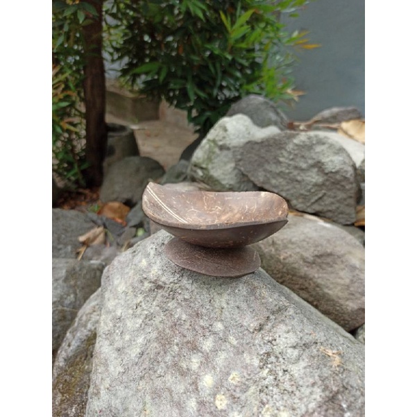 mangkok asbak batok kelapa unik