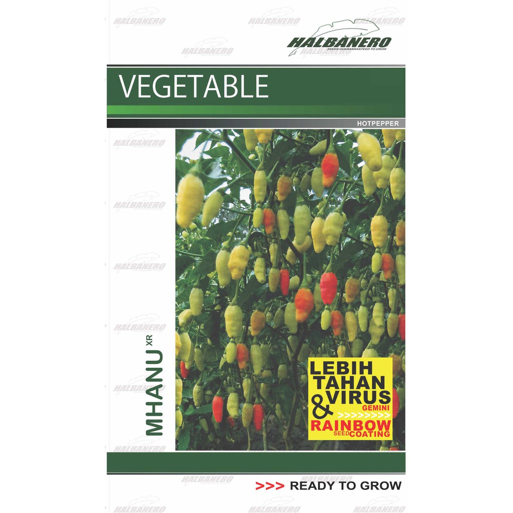 Benih Cabai Mhanu XR