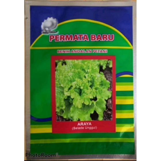 Benih Selada Bibit Selada Unggul ARAYA Isi 10 Gram. Benih Selada Hijau. Bibit Sayuran