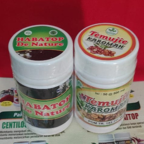 Temujie - Habatop Obat Liver De Nature hERBAL ALAMI
