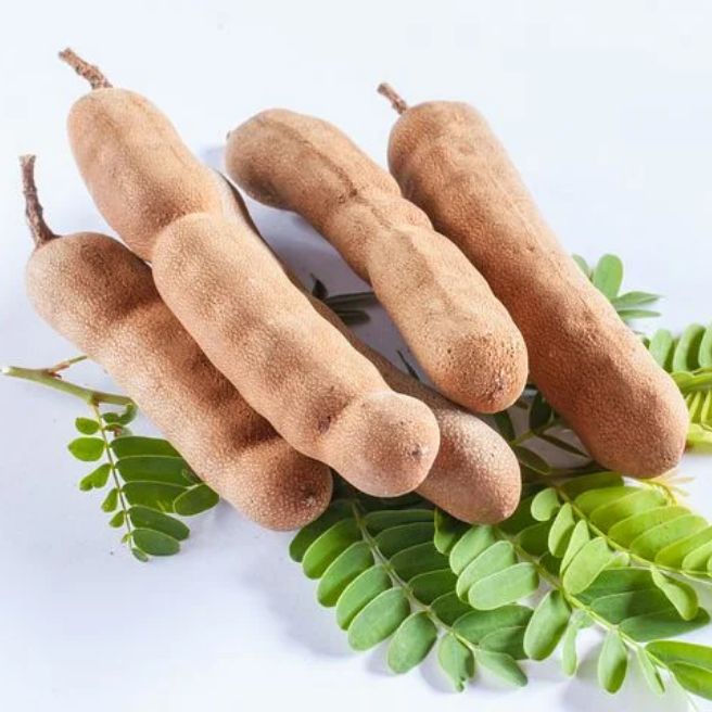 

Buah Asam Jawa mentah berat 500gram