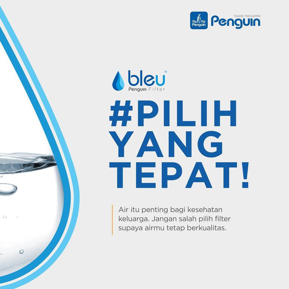 ✧ Bleu by Penguin - CTO filter ○