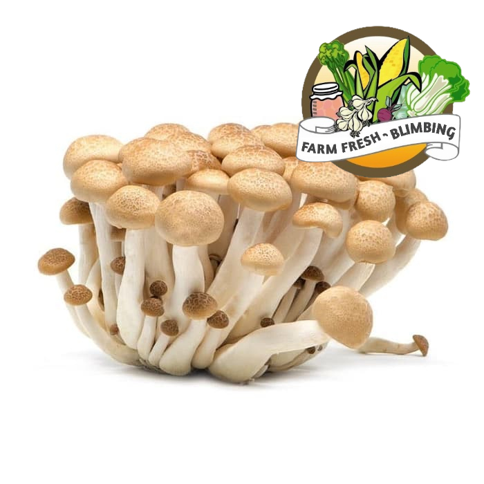 

jamur shimeji coklat 150grm