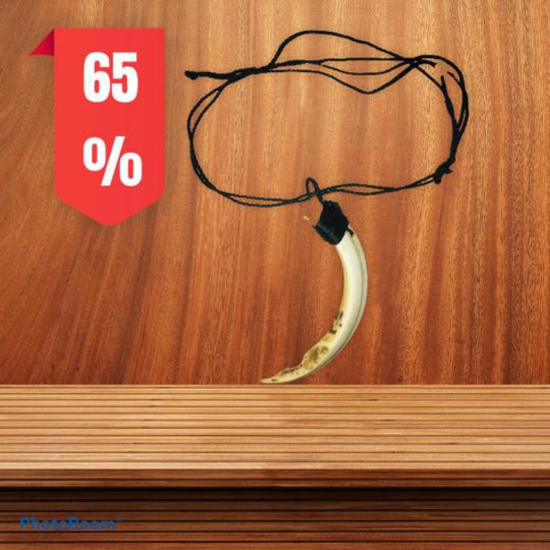 Taring babi original 100% 8 cm