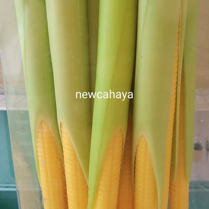 

Pulpen karakterrrr jagung