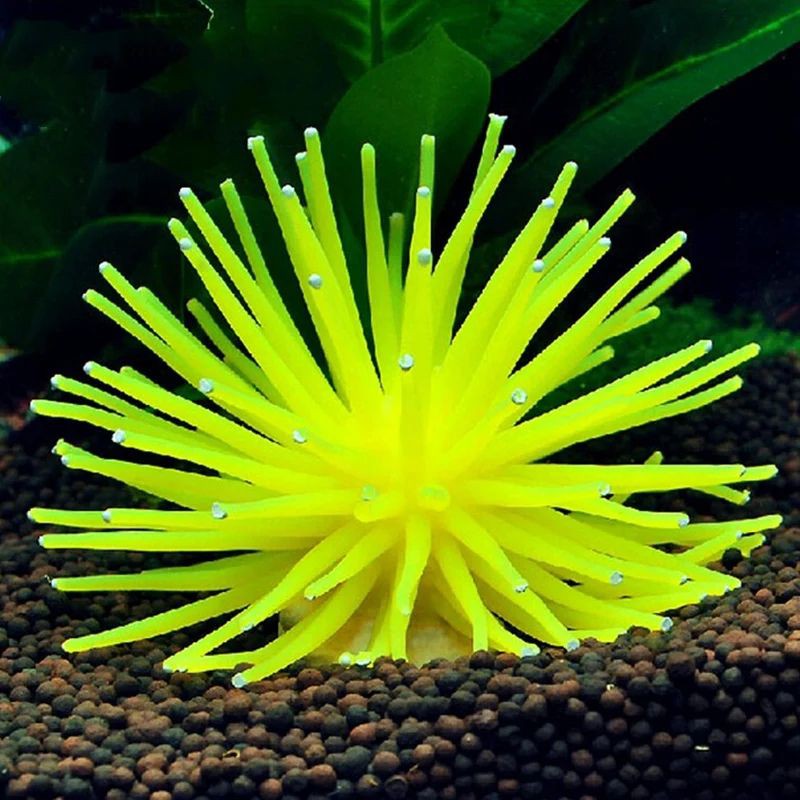 Hiasan Aquarium Anemon Laut Jelly - Dekorasi Akuarium Coral Aquascape