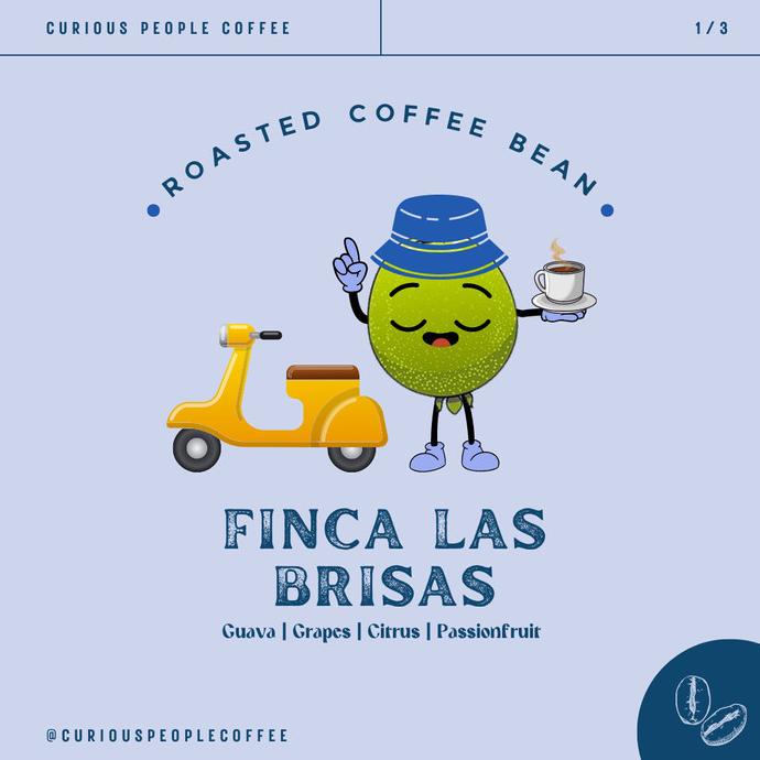 

[ COD ] Biji Kopi Manual Brew Arabika - Finca Las Brisas - 200 gr NEW Kode 490