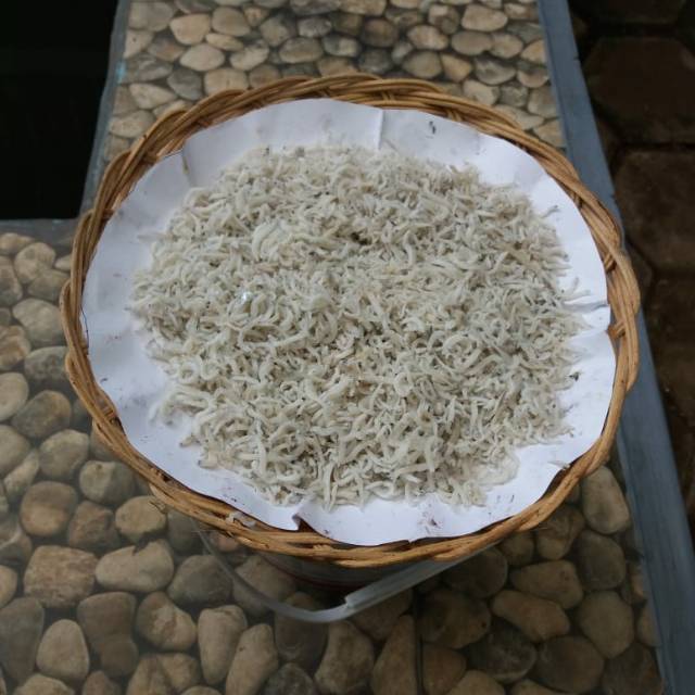 

Teri medan / teri nasi