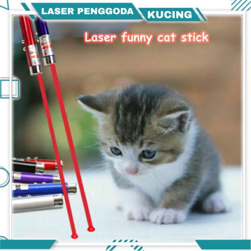 Mainan Laser UV Premium 3 in 1 | Laser Penggoda Kucing Murah (Free Baterai)