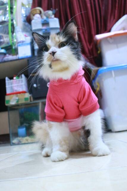 Kaos hoodie pink half toska lucu untuk kucing dan anjing size S M L XL