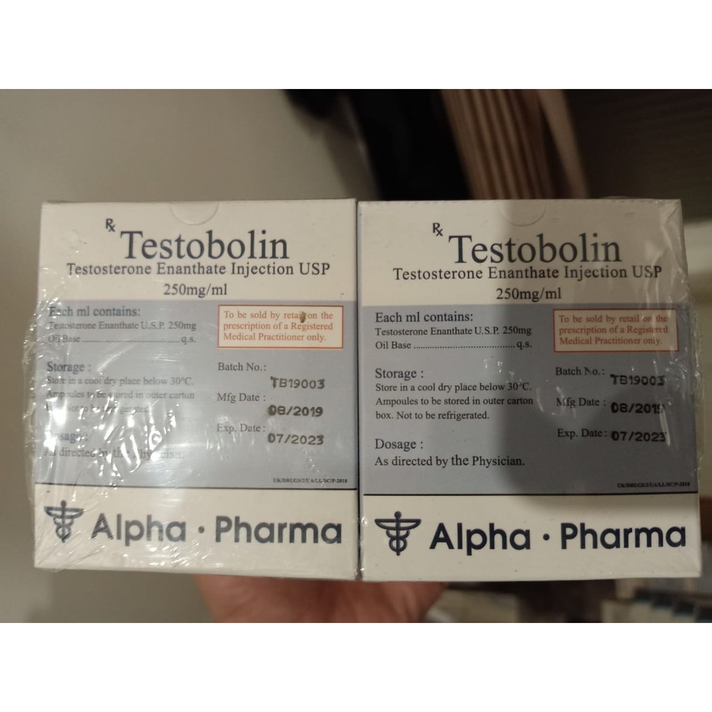 Testobolin Testo Bolin Alpha Pharma AlphaPharma Testosterone Enanthate 10amp