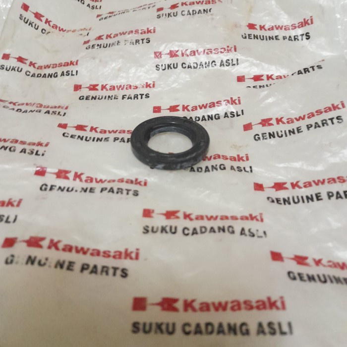 sil kruk as ninja r ninja rr