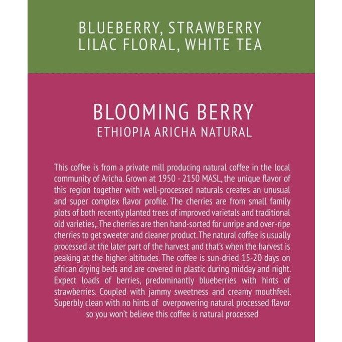 

BLOOMING BERRY (Ethiopia Aricha Natural)