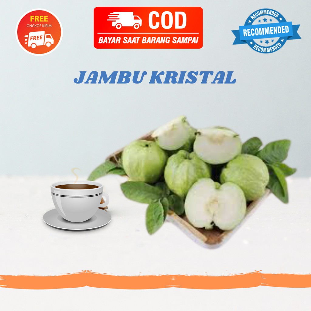 

[COD] Jambu Kristal Segar | Buah Jambu kristal 500Gr, 1Kg Tanpa Biji | Bibit Jambu Kristal Berbuah