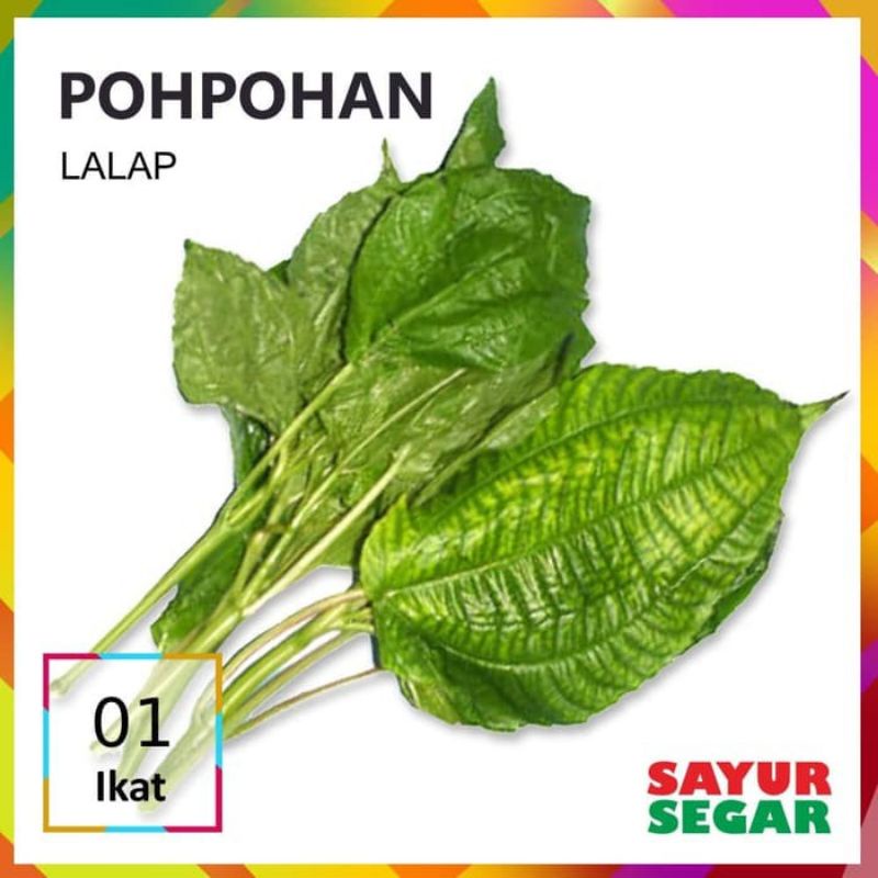 lalap pohpohan popohan 1 ikat segar fresh