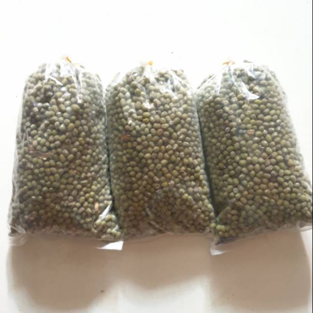 

Kacang hijau