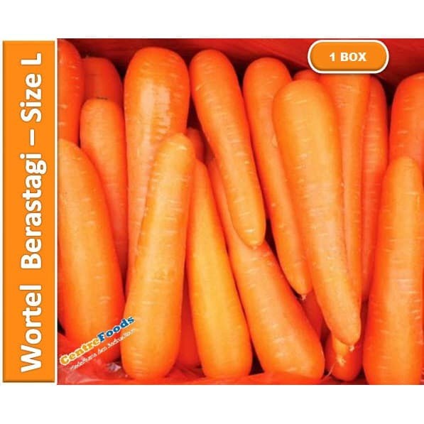 

Wortel Berastagi Fresh - Size M / L Besar | 10 Kg [ Harga Per CTN ]