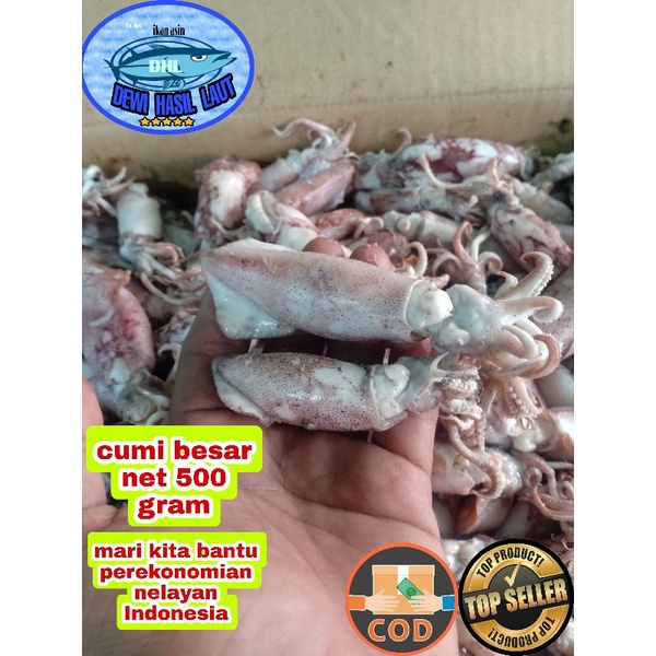 

Ikan asin cumy 500 gram