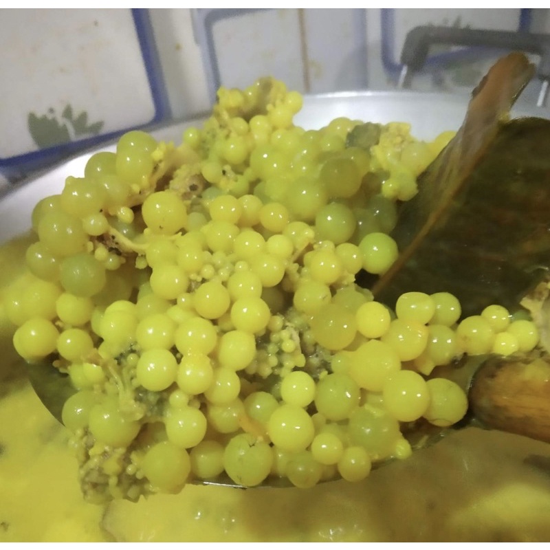 Telur Ikan Manyung 250 gram