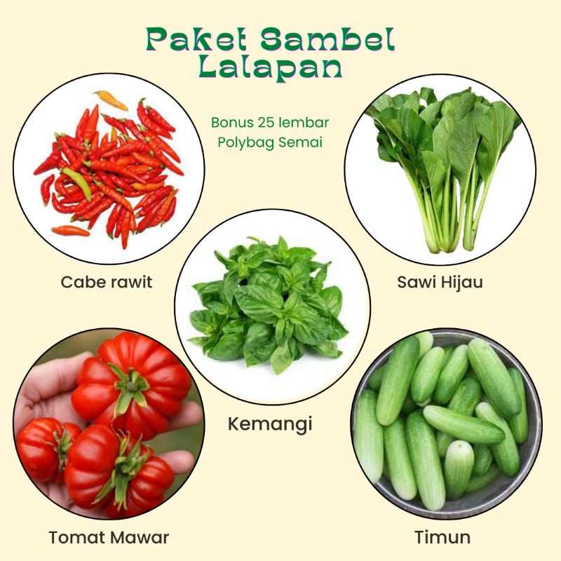 Paket Sambel Lalapan | Benih Bahan Sambel Lalapan | Benih Cabe Rawit Merah | Benih Tomat Mawar Ranti