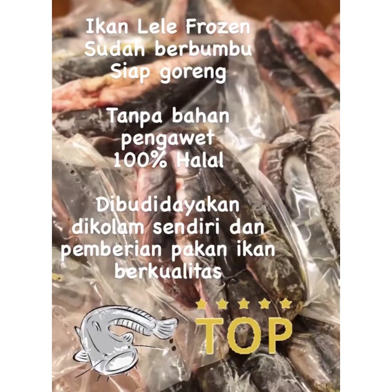 

IKAN LELE FROZEN BUMBU KUNING