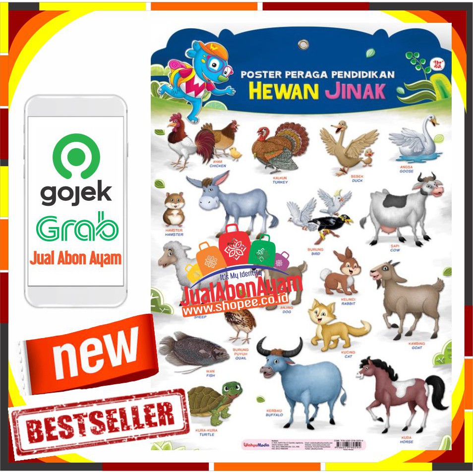 POSTER PERAGA PENDIDIKAN HEWAN JINAK