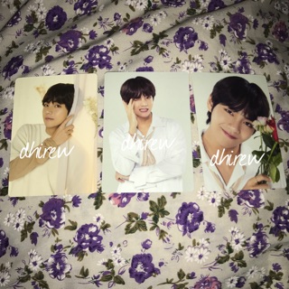 Bts Taehyung Official Mini Photocard Love Yourself Merch