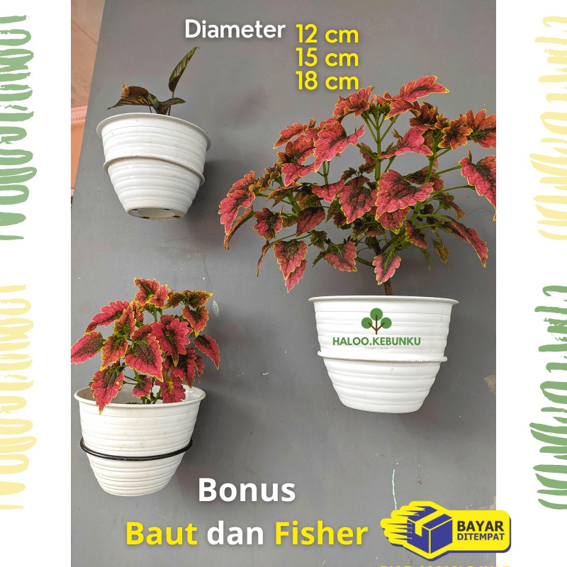 HK Gantungan Pot Besi diameter 12, 15, 18 cocok Pot kecil dan besar Bunga tanaman dekorasi dinding