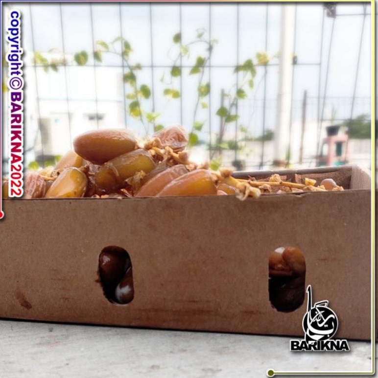 

Terbatas MWI95 Kurma Ruthob Libya 500gr MWI