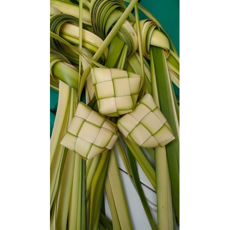 

Cangkang Ketupat