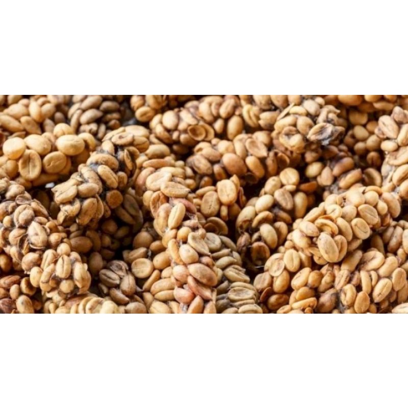 

Mentahan luwak koufie