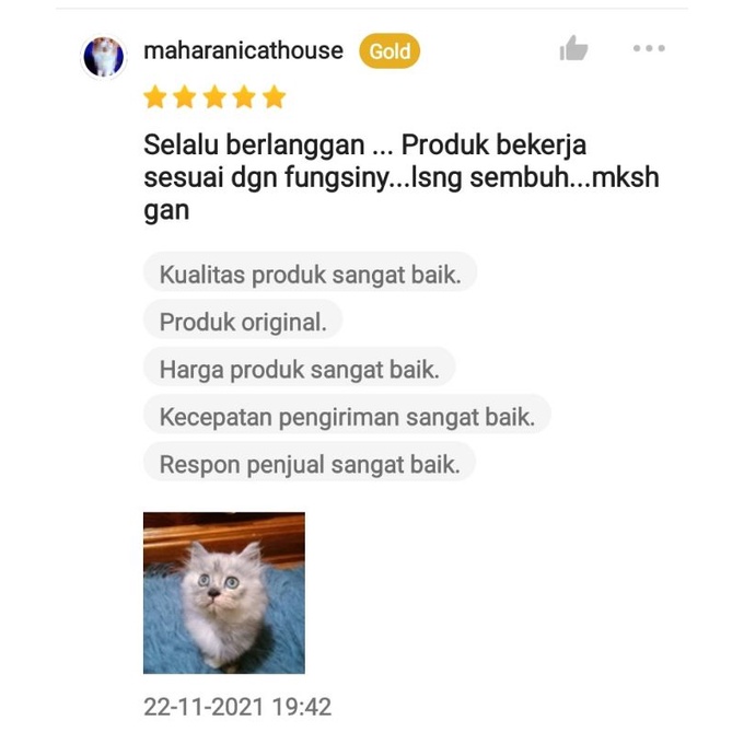 MERCYPET OBAT ANTI MUNTAH VIRUS KERACUNAN UNTUK KUCING ANJING / PARVO / DISTEMPER / MEYER / BTM