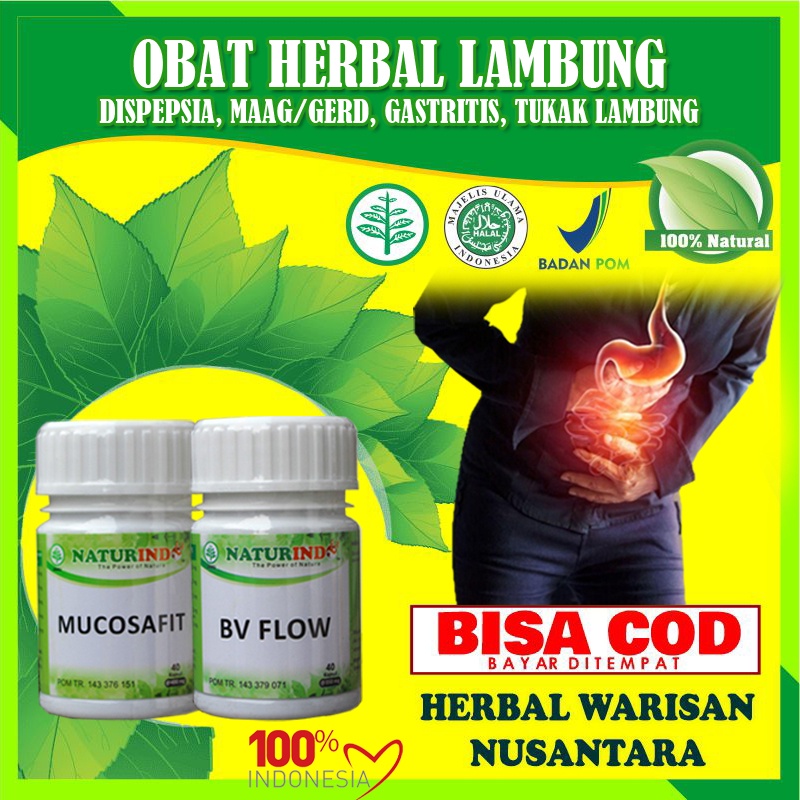 Obat Asam Lambung Ampuh Maag Gerd Masuk Angin Kronis Herbal Paling Ampuh Asam Lambung Maag Gerd Kembung Sesak Begah Masuk Angin Herbal Paling Ampuh MUI BPOM Mucosafit Naturindo-JARANG KEMBUNG