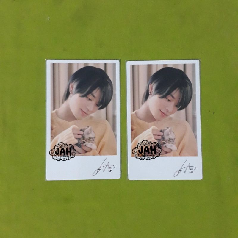 pc photocard pola polaroid natrep nature republic yuta kucing