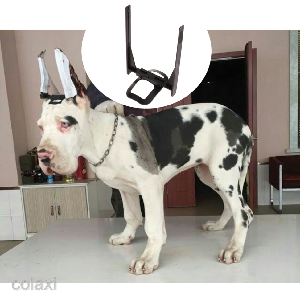 Jual Dog Ear Care Tool Ear Stand Up For Doberman Pinscher Dog Samoyed Great Dane Indonesia Shopee Indonesia