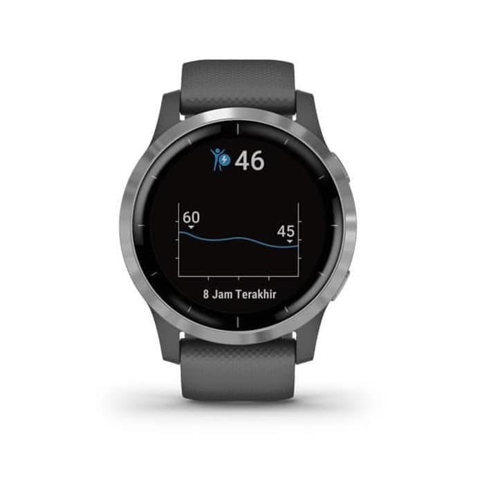 Garmin Vivoactive 4 GPS Wi-Fi Shadow Gray Silver SEA - TAM 2 Tahun