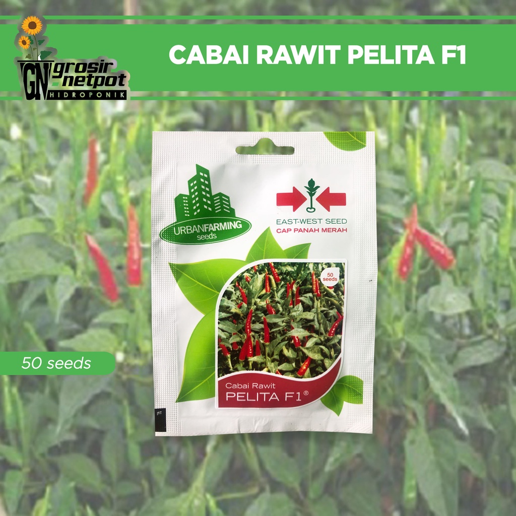 Jual Benih Cabai Rawit Pelita F Cap Panah Merah Indonesia Shopee Indonesia