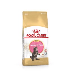 royal canin maine coon kitten 2kg