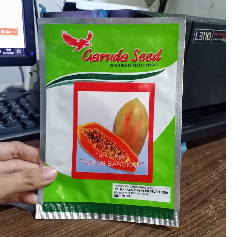 GS - benih PEPAYA BANGKOK QUEEN BANGKOK isi 1 gram - bibit pepaya - garuda seed