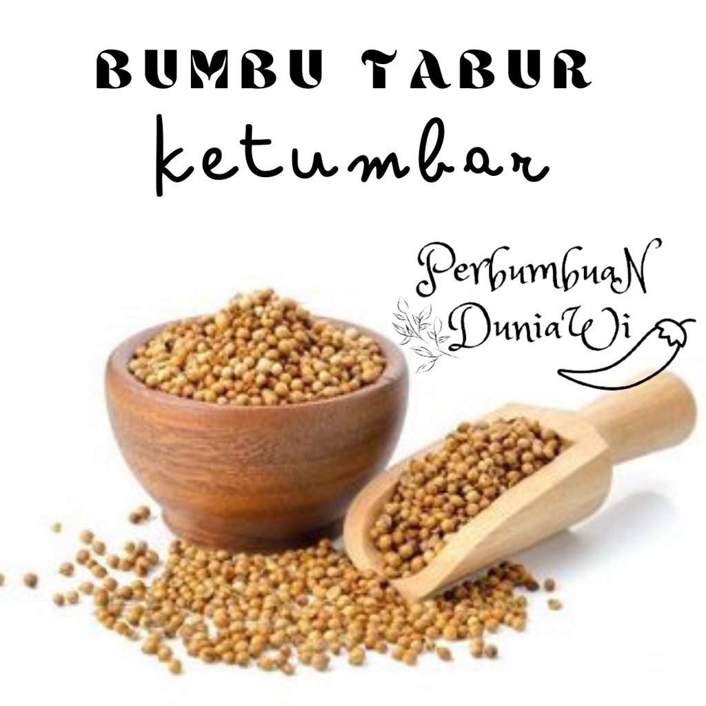 

Ketumbar Bubuk Pure Coriander Powder 100gr - Perbumbuan Duniawi