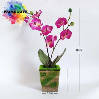 Pot Lumut Bunga Plastik Anggrek Shabby Chic Artificial Pot Lumut Bunga Plastik Anggrek Shabby Chic Artificial